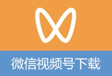 微信视频号下载工具(支持直播回放、直播流) v260110 中文绿色版